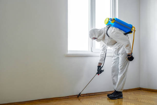 Best Pest Exclusion Services  in Dover Base Housing, DE